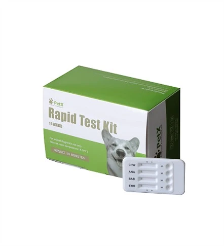 שיטת הכנת ELISA Kits